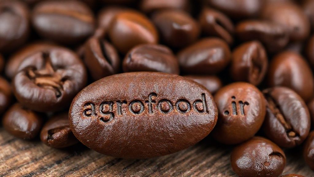 دانه قهوه تازه برشته شده