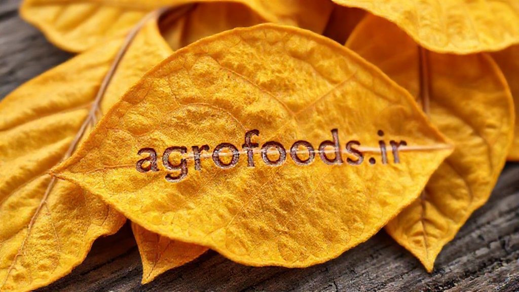 برگ خشک زردآلو با کیفیت تجاری و رنگ طلایی