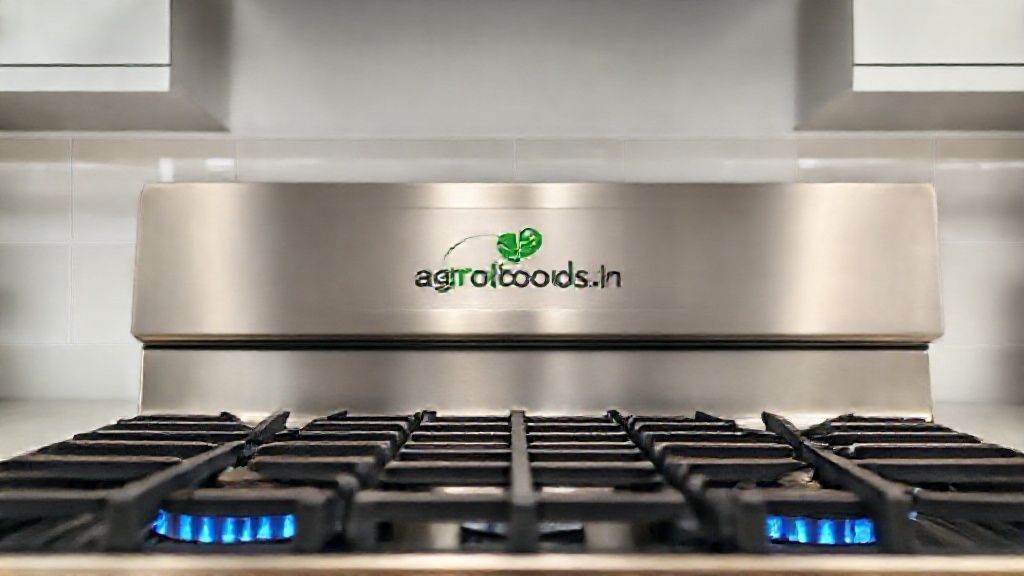 اجاق گاز صنعتی استیل در آشپزخانه روشن