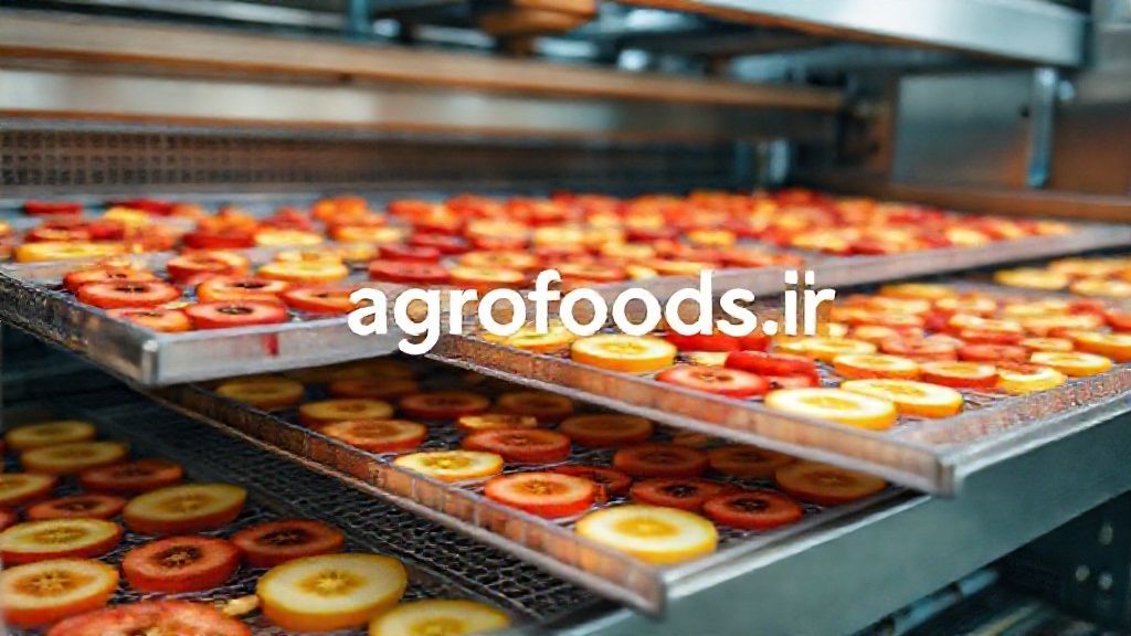 تصویری از یک دستگاه خشک کن میوه صنعتی مدرن در حال کار