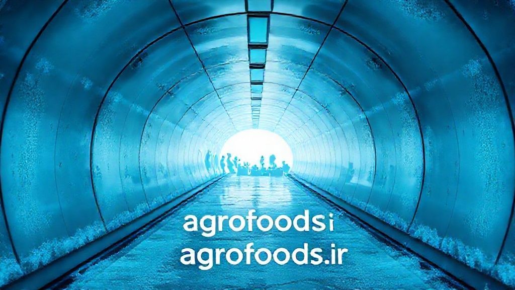 تونل انجماد پیشرفته در خط تولید مواد غذایی