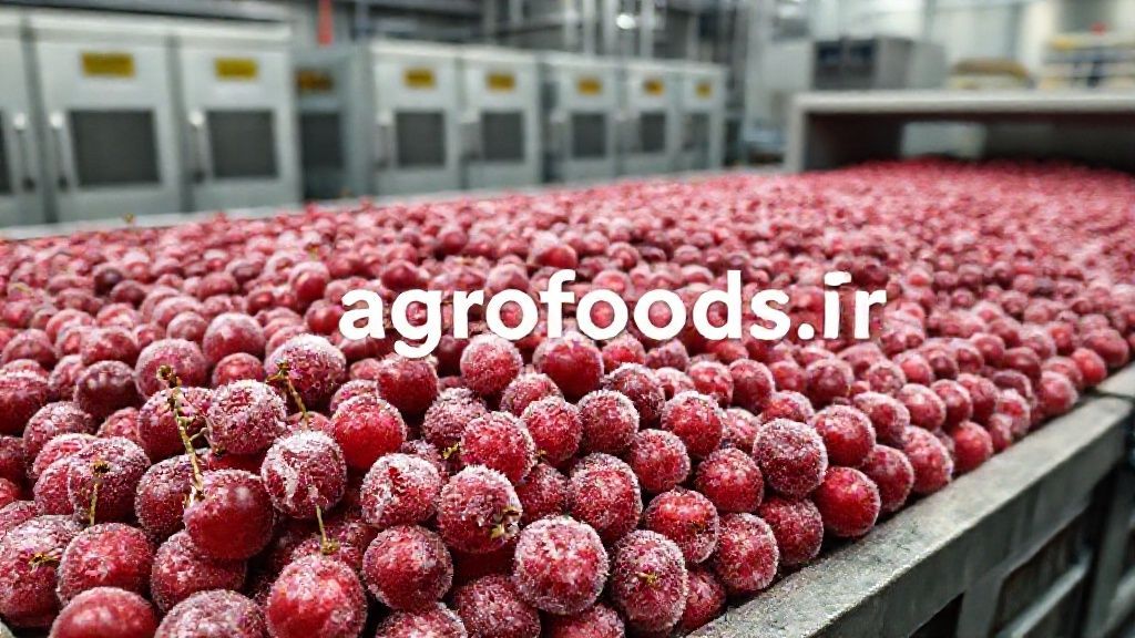 فرآوری و بستهبندی آلبالو منجمد در مقیاس صنعتی