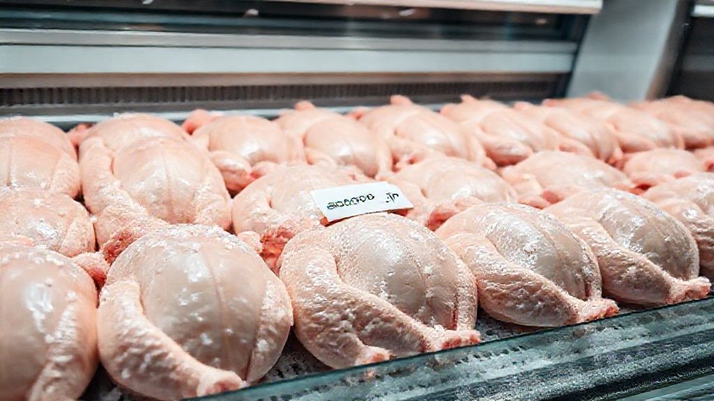 مرغ منجمد در زنجیره تامین غذایی