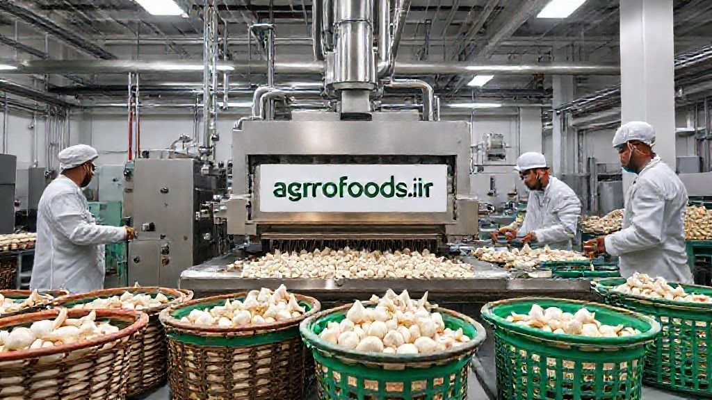 تصویری واقعی از خط تولید صنعتی سیر پوست کن