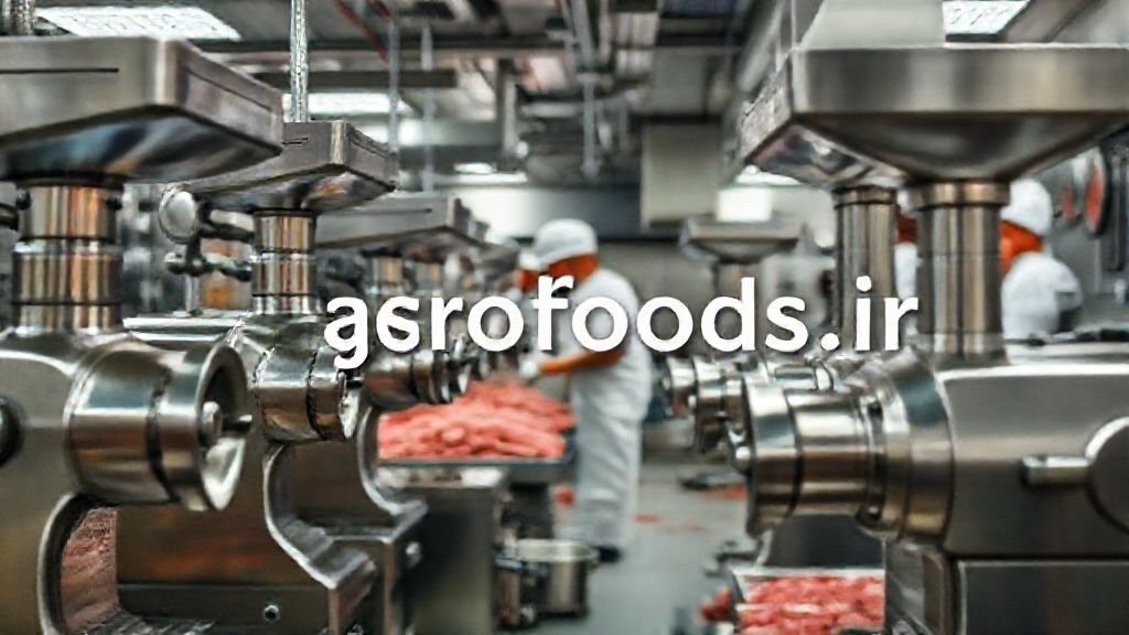 آشپزخانه صنعتی تهران با چرخ گوشت صنعتی