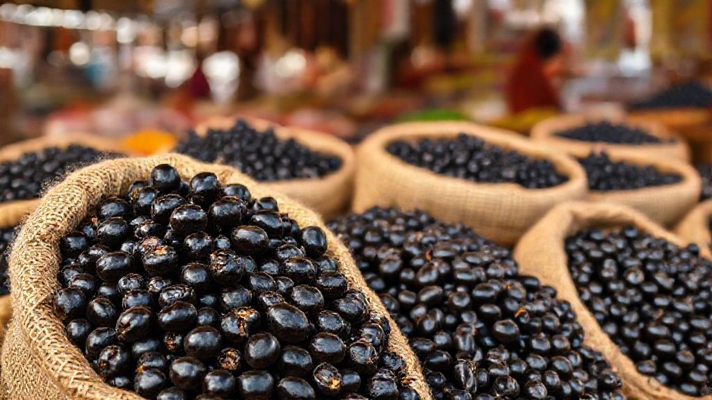 مویز سیاه، مرغوب و باکیفیت برای خرید عمده